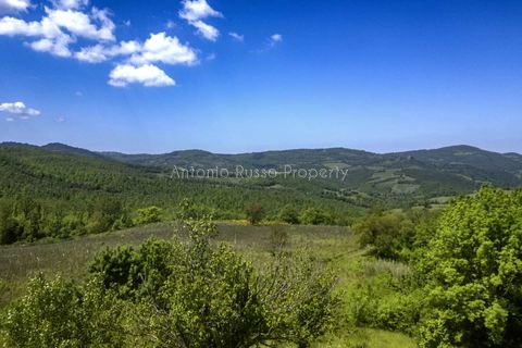 Villa i Scansano, Grosseto, Scansano - € 800.000 | Ref: T11-512859 - foto 12