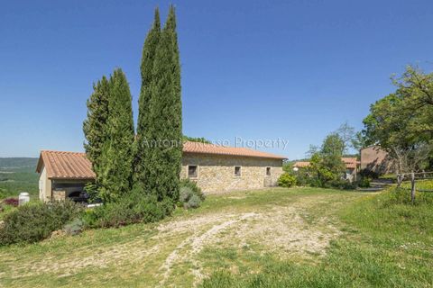Villa i Scansano, Grosseto, Scansano - € 800.000 | Ref: T11-512859 - foto 13