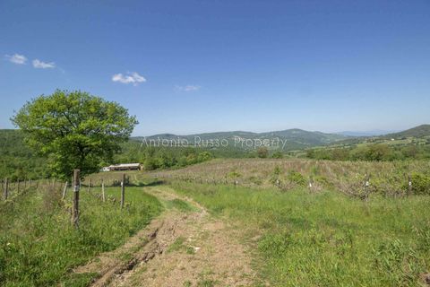 Villa i Scansano, Grosseto, Scansano - € 800.000 | Ref: T11-512859 - foto 14