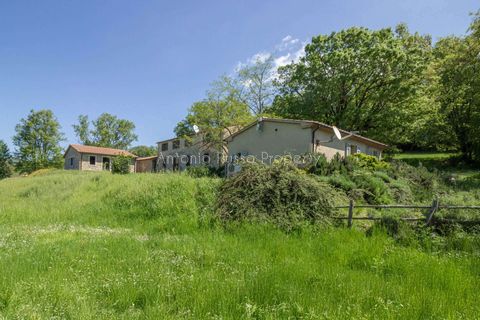 Villa i Scansano, Grosseto, Scansano - € 800.000 | Ref: T11-512859 - foto 15