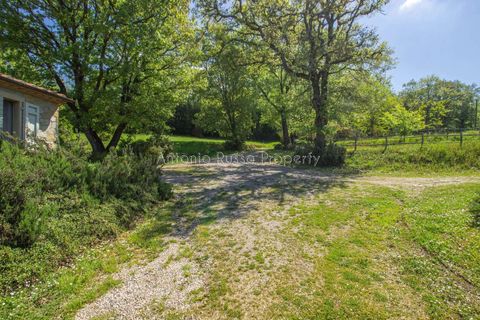 Villa i Scansano, Grosseto, Scansano - € 800.000 | Ref: T11-512859 - foto 17