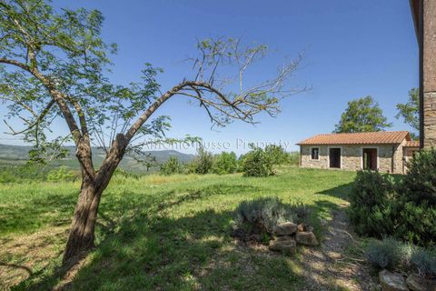 Villa i Scansano, Grosseto, Scansano - € 800.000 | Ref: T11-512859 - foto 19