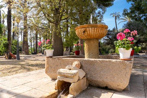 Villa i Elche, Alicante, Elche - € 675.000 | Ref: 3146 - foto 22