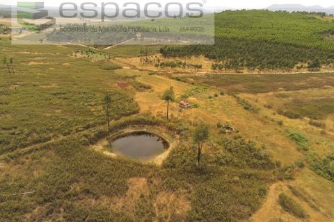 Helårsgrund i Castelo Branco, Castelo Branco, Castelo Branco - € 26.000 | Ref: 5716/EG - foto 2