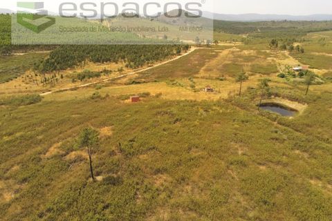 Helårsgrund i Castelo Branco, Castelo Branco, Castelo Branco - € 26.000 | Ref: 5716/EG - foto 3