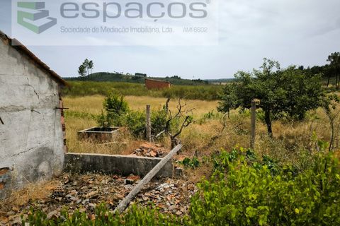 Helårsgrund i Castelo Branco, Castelo Branco, Castelo Branco - € 26.000 | Ref: 5716/EG - foto 7