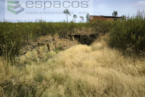 Helårsgrund i Castelo Branco, Castelo Branco, Castelo Branco - € 26.000 | Ref: 5716/EG - foto 8