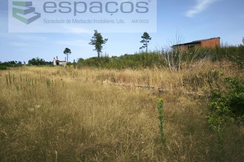 Helårsgrund i Castelo Branco, Castelo Branco, Castelo Branco - € 26.000 | Ref: 5716/EG - foto 9