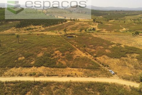 Helårsgrund i Castelo Branco, Castelo Branco, Castelo Branco - € 26.000 | Ref: 5716/EG - foto 10