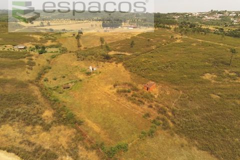 Helårsgrund i Castelo Branco, Castelo Branco, Castelo Branco - € 26.000 | Ref: 5716/EG - foto 11