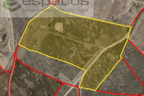 Helårsgrund i Castelo Branco, Castelo Branco, Castelo Branco - € 26.000 | Ref: 5716/EG - foto 12