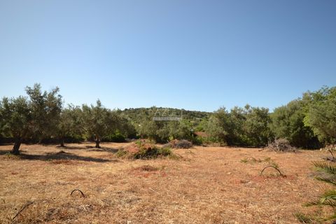 Helårsgrund i Loule, Faro, Loule - € 375.000 | Ref: 1009-2383 - foto 1