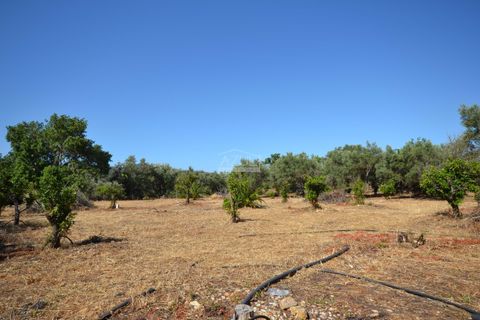 Helårsgrund i Loule, Faro, Loule - € 375.000 | Ref: 1009-2383 - foto 2