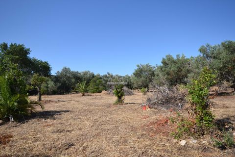 Helårsgrund i Loule, Faro, Loule - € 375.000 | Ref: 1009-2383 - foto 7