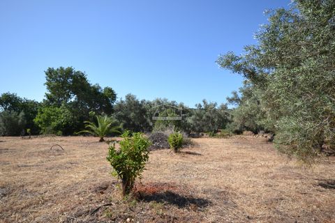 Helårsgrund i Loule, Faro, Loule - € 375.000 | Ref: 1009-2383 - foto 8