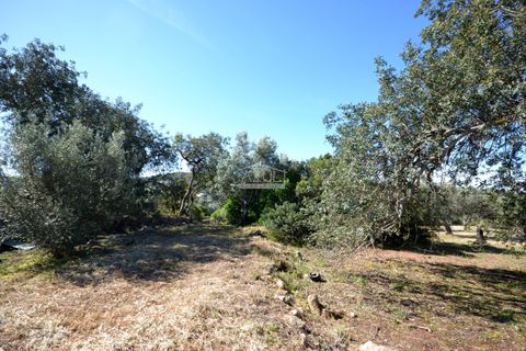 Helårsgrund i Loule, Faro, Loule - € 375.000 | Ref: 1009-2383 - foto 11