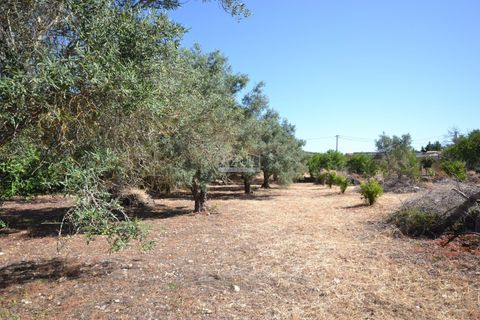 Helårsgrund i Loule, Faro, Loule - € 375.000 | Ref: 1009-2383 - foto 12