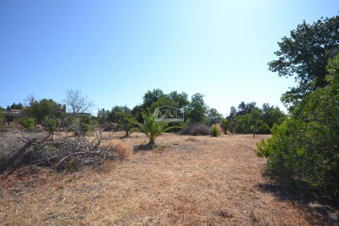 Helårsgrund i Loule, Faro, Loule - € 375.000 | Ref: 1009-2383 - foto 13