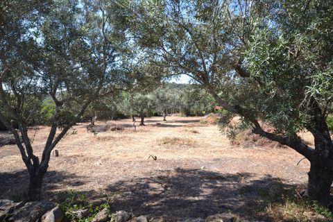 Helårsgrund i Loule, Faro, Loule - € 375.000 | Ref: 1009-2383 - foto 14