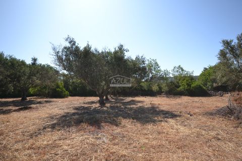 Helårsgrund i Loule, Faro, Loule - € 375.000 | Ref: 1009-2383 - foto 15