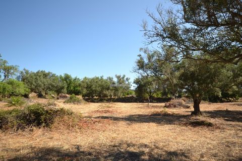 Helårsgrund i Loule, Faro, Loule - € 375.000 | Ref: 1009-2383 - foto 16