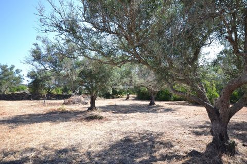 Helårsgrund i Loule, Faro, Loule - € 375.000 | Ref: 1009-2383 - foto 17
