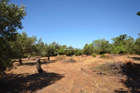 Helårsgrund i Loule, Faro, Loule - € 375.000 | Ref: 1009-2383 - foto 18