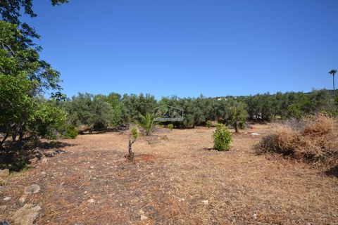 Helårsgrund i Loule, Faro, Loule - € 375.000 | Ref: 1009-2383 - foto 19