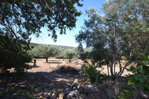 Helårsgrund i Loule, Faro, Loule - € 375.000 | Ref: 1009-2383 - foto 20