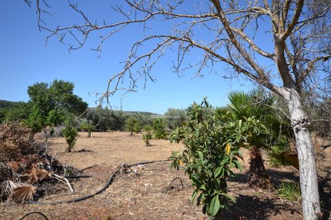 Helårsgrund i Loule, Faro, Loule - € 375.000 | Ref: 1009-2383 - foto 21