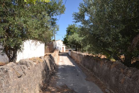 Helårsgrund i Loule, Faro, Loule - € 375.000 | Ref: 1009-2383 - foto 22