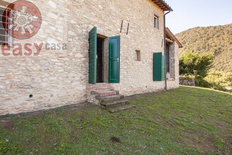 Landejendom i Lucca, Lucca, Lucca - € 385.000 | Ref: 1285 - foto 3