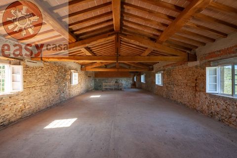 Landejendom i Lucca, Lucca, Lucca - € 385.000 | Ref: 1285 - foto 4