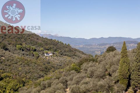 Landejendom i Lucca, Lucca, Lucca - € 385.000 | Ref: 1285 - foto 15