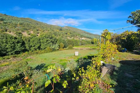 Villa a Guarda, Guarda, Guarda - € 325.000 | Ref: SF-SAFTI:006833 - foto 13
