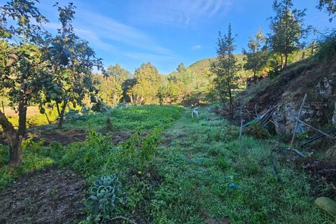 Villa a Guarda, Guarda, Guarda - € 325.000 | Ref: SF-SAFTI:006833 - foto 18