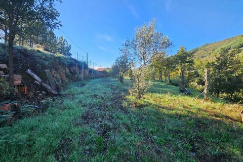 Villa a Guarda, Guarda, Guarda - € 325.000 | Ref: SF-SAFTI:006833 - foto 19