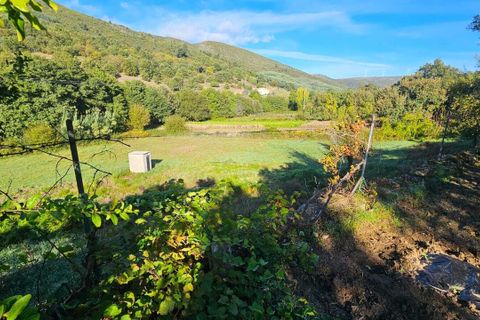 Villa a Guarda, Guarda, Guarda - € 325.000 | Ref: SF-SAFTI:006833 - foto 21