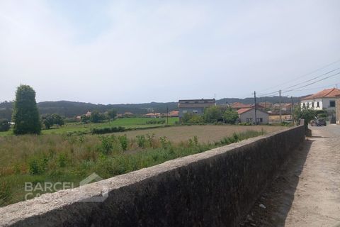 Terra a Freitas e Vila Cova, Braga, Freitas e Vila Cova - € 85.000 | Ref: 142/25 - foto 3