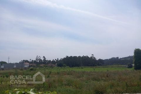 Terra a Freitas e Vila Cova, Braga, Freitas e Vila Cova - € 85.000 | Ref: 142/25 - foto 4