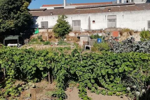 Terra a Setubal, Setubal, Setubal - € 1.550.000 | Ref: 144663 - foto 5