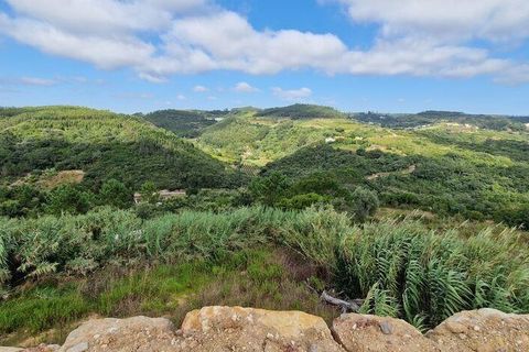 Terra a Mafra, Lisbon, Mafra - € 86.000 | Ref: 89851 - foto 6