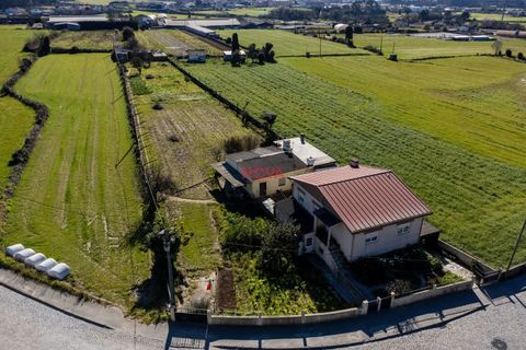 Villa i Matosinhos, Porto, Matosinhos - € 399.990 | Ref: NOVA-ER-2283 - foto 3