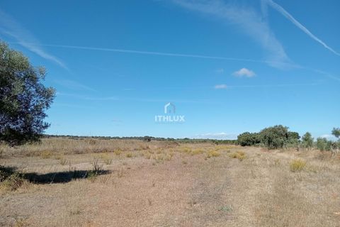 Grond in Elvas, Portalegre, Elvas - € 22.500 | Ref: ITH3633 - foto 1
