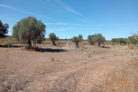 Grond in Elvas, Portalegre, Elvas - € 22.500 | Ref: ITH3633 - foto 2