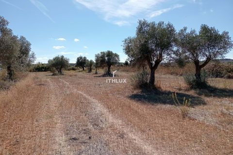 Grond in Elvas, Portalegre, Elvas - € 22.500 | Ref: ITH3633 - foto 3