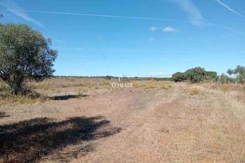 Grond in Elvas, Portalegre, Elvas - € 22.500 | Ref: ITH3633 - foto 4