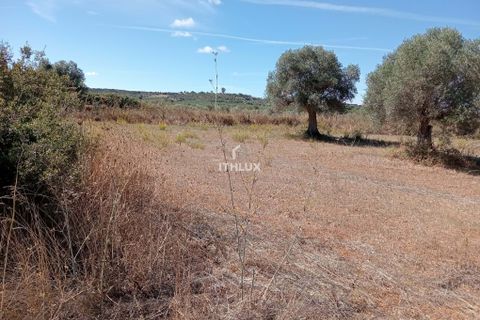Grond in Elvas, Portalegre, Elvas - € 22.500 | Ref: ITH3633 - foto 5