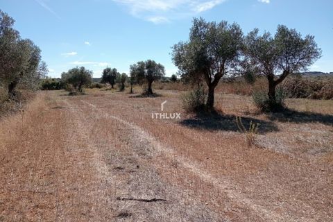 Grond in Elvas, Portalegre, Elvas - € 22.500 | Ref: ITH3633 - foto 6