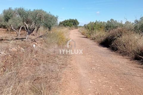Grond in Elvas, Portalegre, Elvas - € 22.500 | Ref: ITH3633 - foto 7